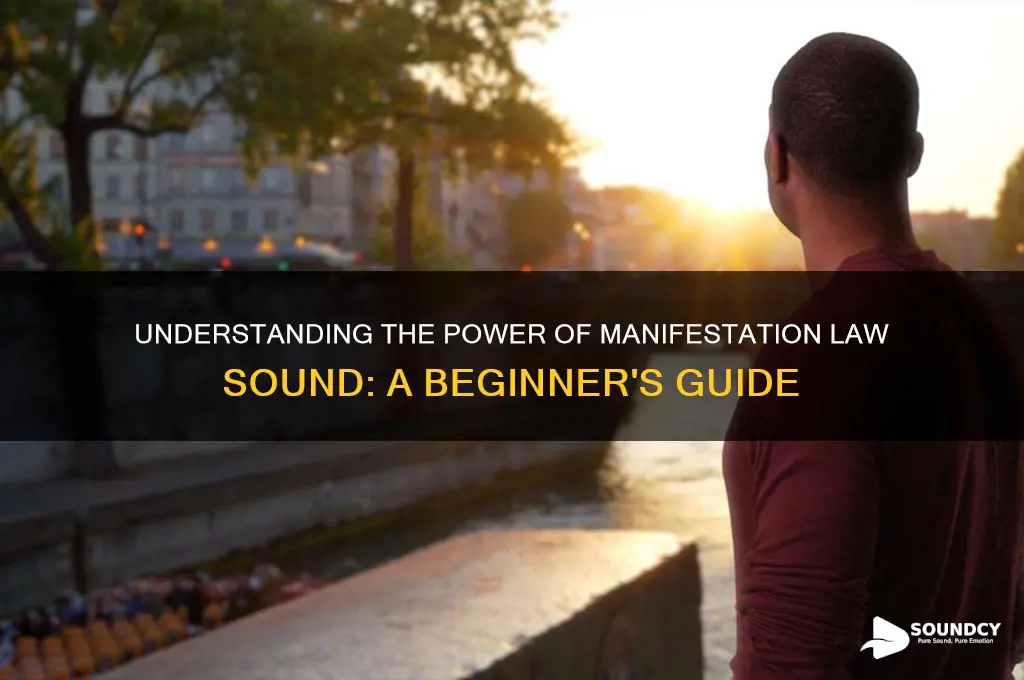 what is manifestation law sound
