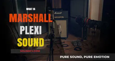 Unveiling the Iconic Marshall Plexi Sound: A Guitarist's Ultimate Tone Guide
