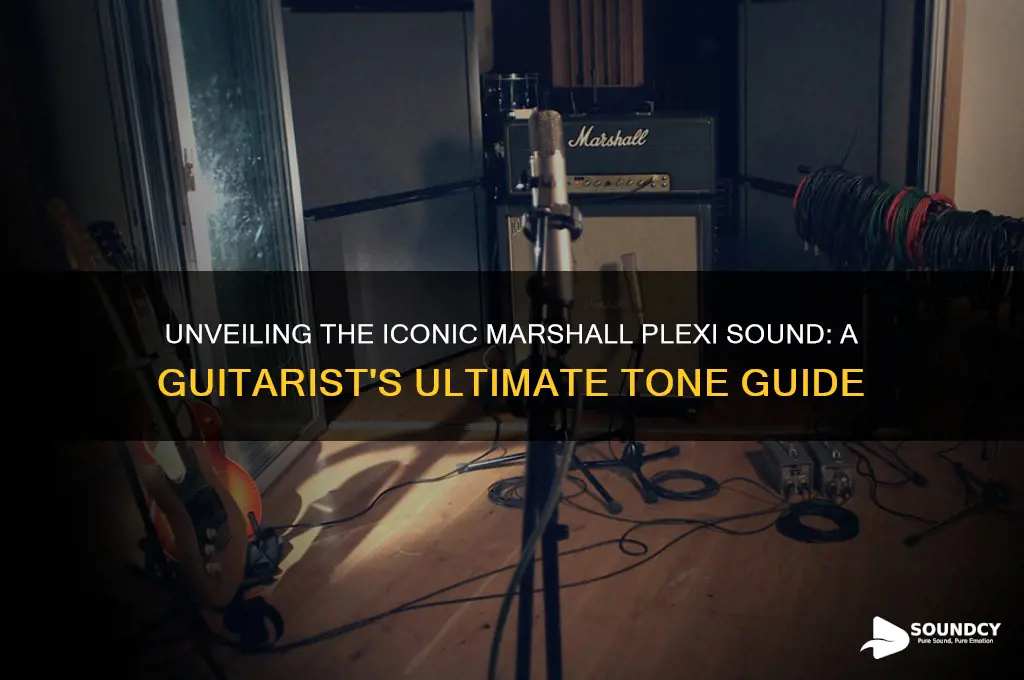 what is marshall plexi sound