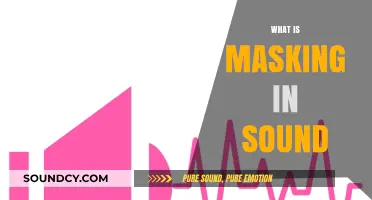 Understanding Masking in Sound: How Frequencies Hide in Audio Mixes