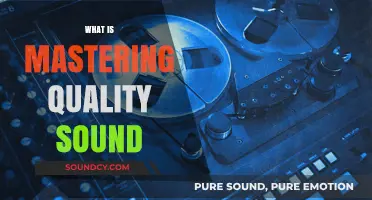 Mastering Quality Sound: Techniques for Professional Audio Perfection