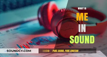 Exploring the Essence of 'Me' Through Sound and Identity