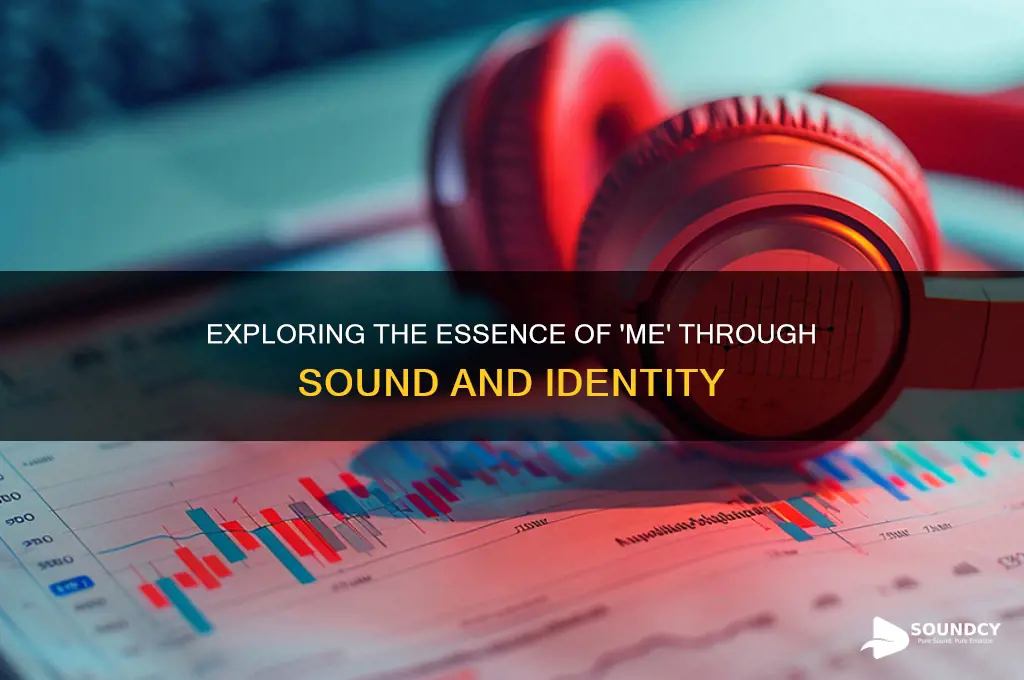 what is me in sound