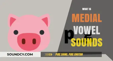 Understanding Medial Vowel Sounds: A Comprehensive Guide to Pronunciation