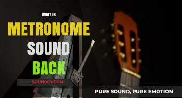 Understanding Metronome Sound Back: A Comprehensive Guide for Musicians