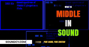 Understanding the Middle in Sound: Frequency, Perception, and Musical Harmony