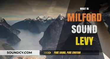 Understanding Milford Sound Levy: Purpose, Impact, and Benefits Explained