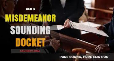 Understanding Misdemeanor Sounding Docket: Definition, Process, and Implications