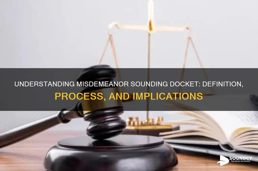 what is misdemeanor sounding docket