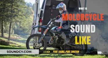 Revving Up: The Unique and Powerful Sounds of Motorcycles Explained