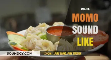 Exploring the Unique and Intriguing Sound of Momo: A Culinary Delight