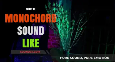 Exploring the Mystical, Single-Stringed Monochord's Unique Sonic Signature