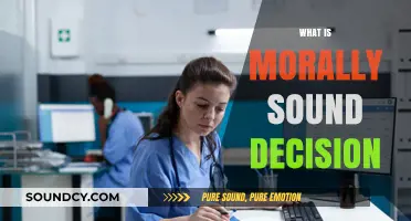 Ethical Choices: Navigating Morally Sound Decisions in Complex Situations