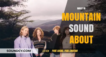 Unraveling the Meaning Behind Of Monsters and Men's 'Mountain Sound