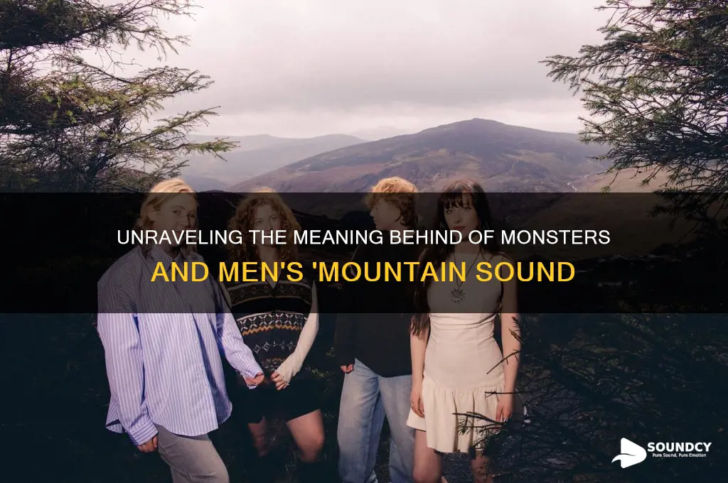 what is mountain sound about