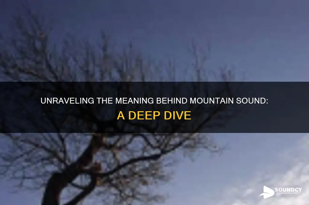 what is moutnain sound about