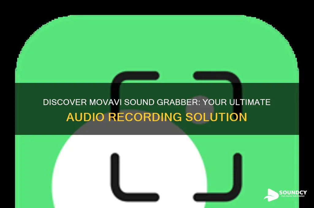 what is movavi sound grabber