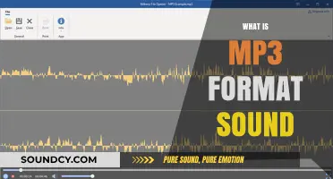 Understanding MP3: The Revolutionary Audio Format and Its Impact