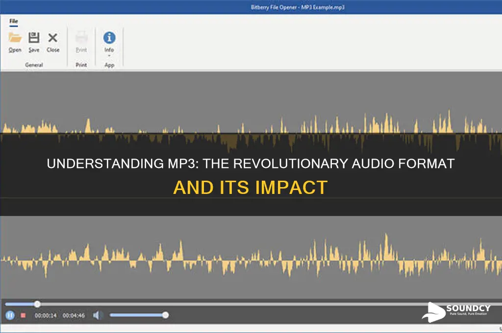 what is mp3 format sound