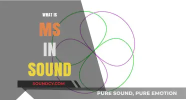 Understanding MS in Sound: Mid-Side Microphone Technique Explained