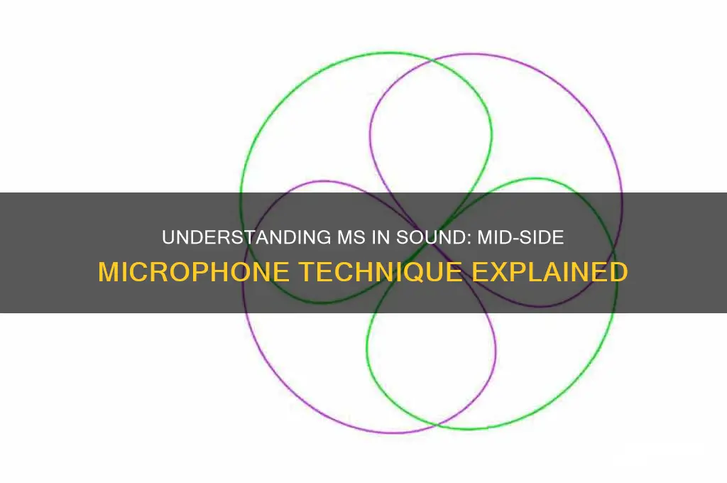 what is ms in sound