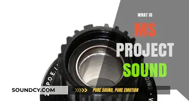 Understanding MS Project Sound: Features, Benefits, and Practical Applications