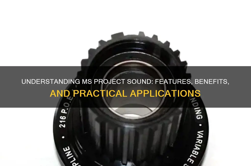 what is ms project sound