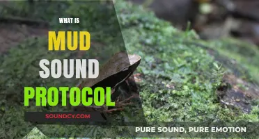 Understanding Mud Sound Protocol: A Comprehensive Guide to Its Functionality
