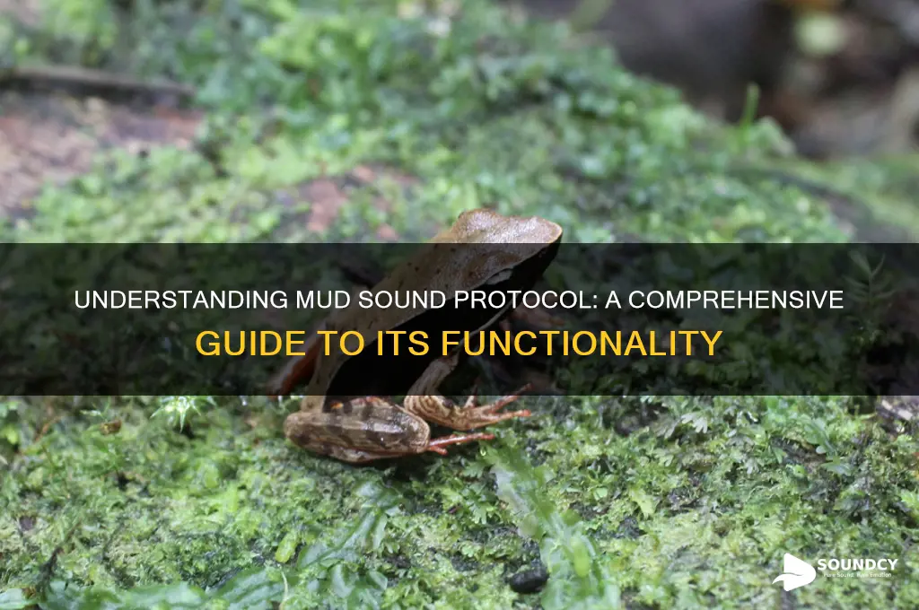 what is mud sound protocol