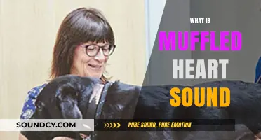 Understanding Muffled Heart Sounds: Causes, Diagnosis, and Treatment Explained