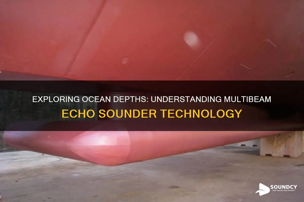 what is multibeam echo sounder