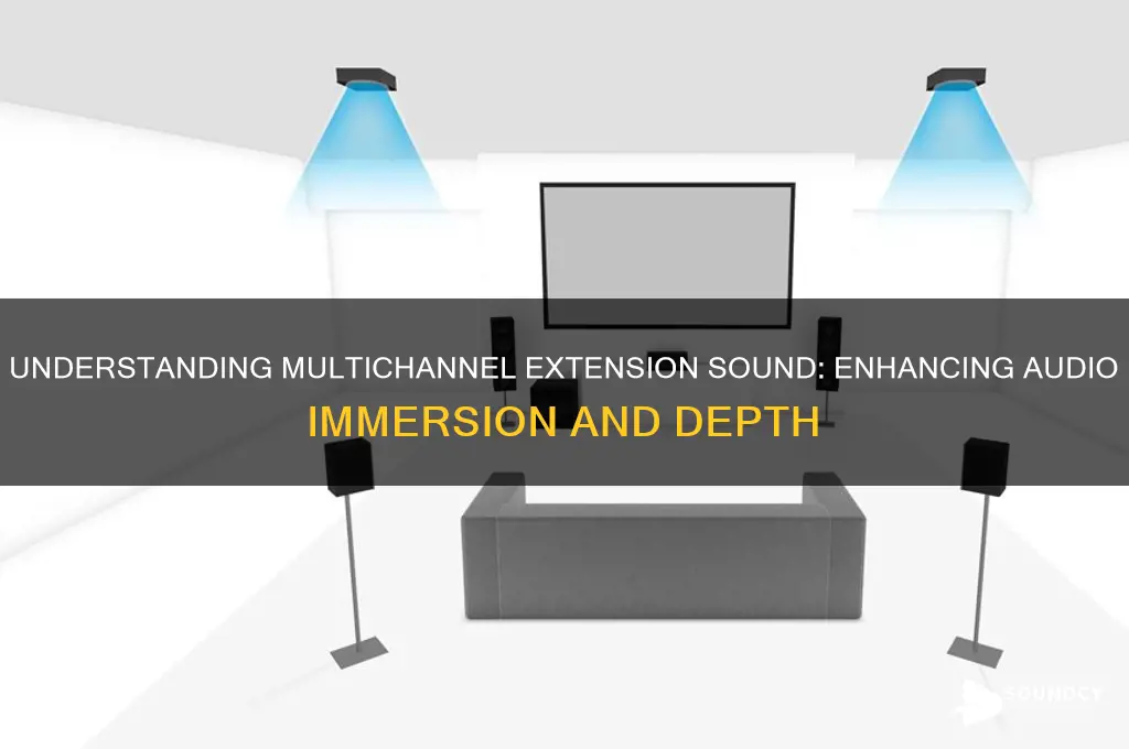what is multichannel extension sound