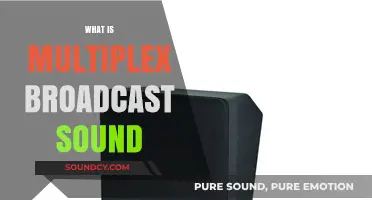 Understanding Multiplex Broadcast Sound: Technology, Applications, and Benefits Explained