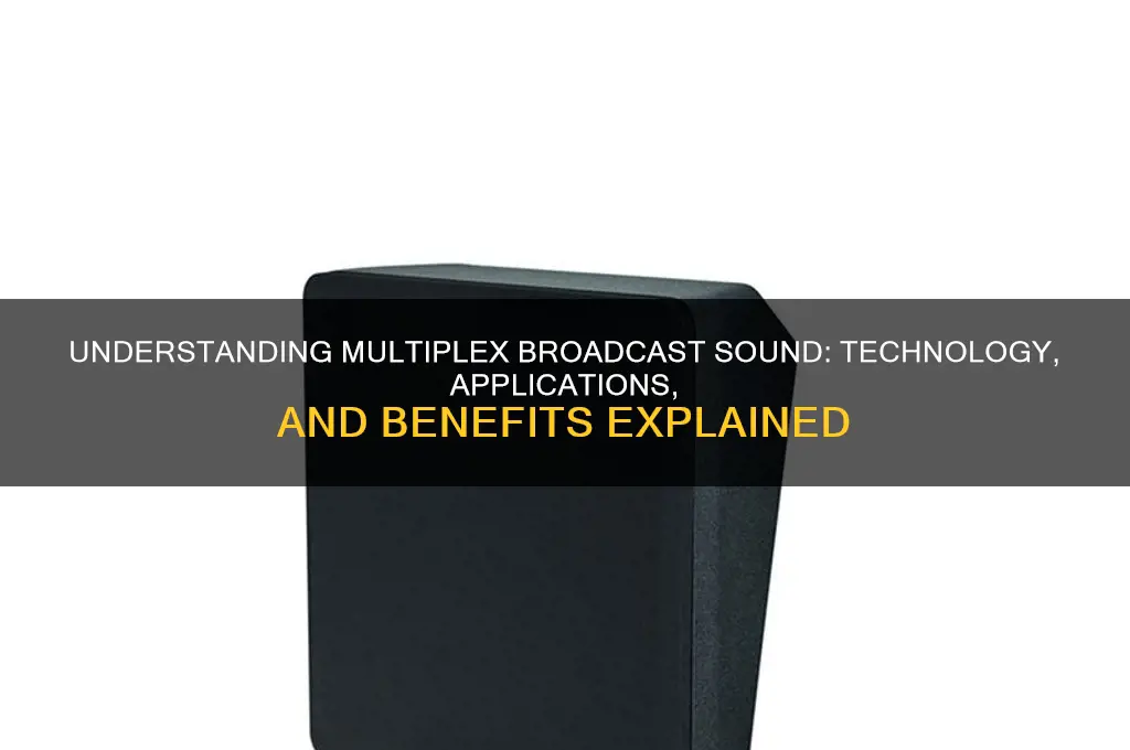 what is multiplex broadcast sound