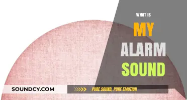 Discover the Perfect Alarm Sound to Start Your Day Right