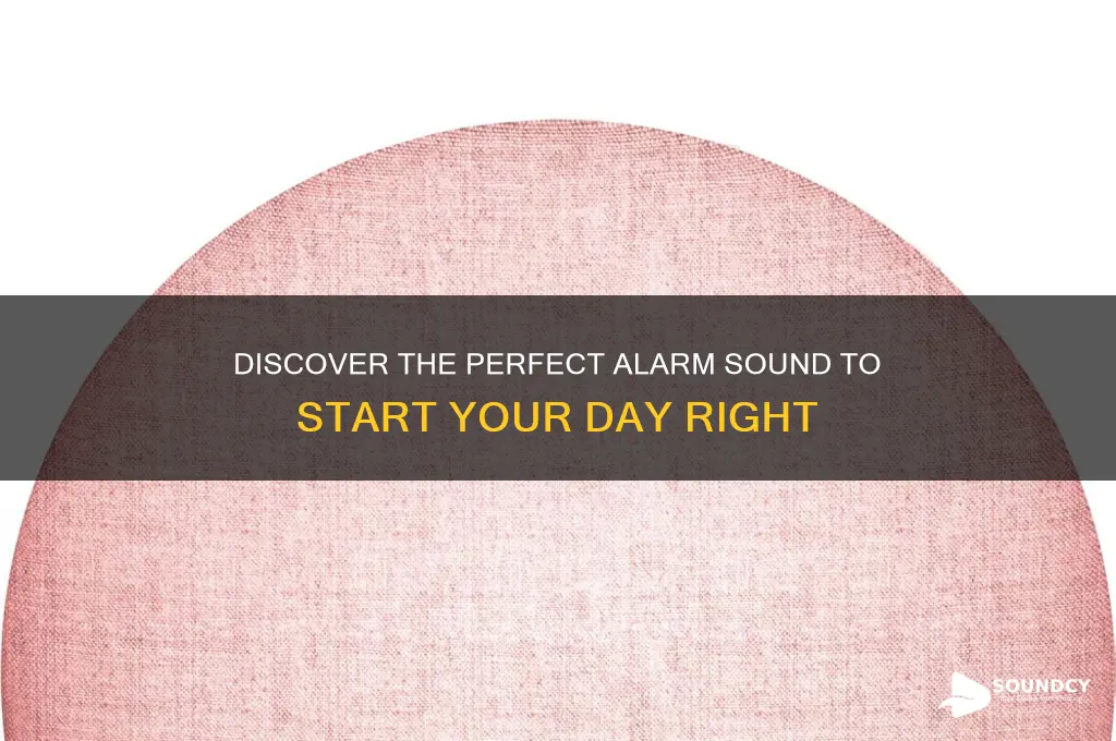 what is my alarm sound