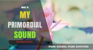 Discover Your Primordial Sound: Unlocking Inner Peace and Harmony