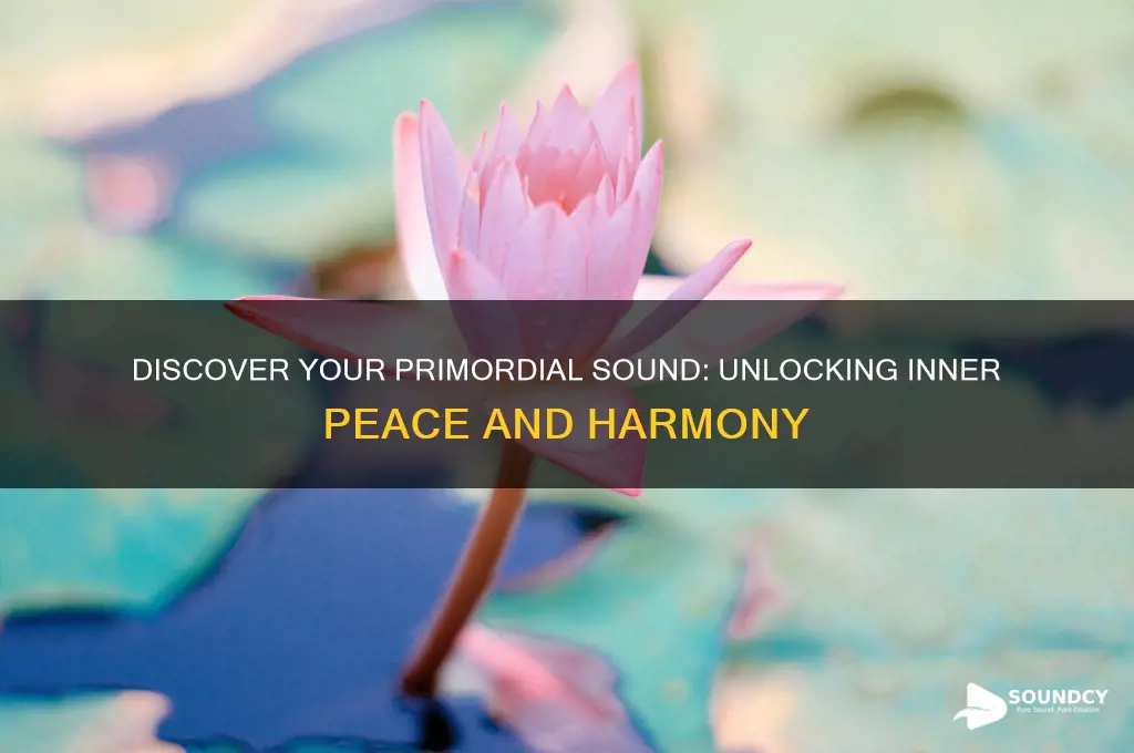 what is my primordial sound