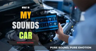 Understanding Your Car's Sounds: A Guide to Common Noises and Fixes