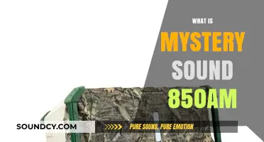 Unveiling the Enigmatic Mystery Sound on 850AM Radio Waves