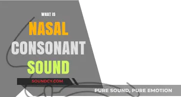 Understanding Nasal Consonant Sounds: Definition, Examples, and Pronunciation Tips