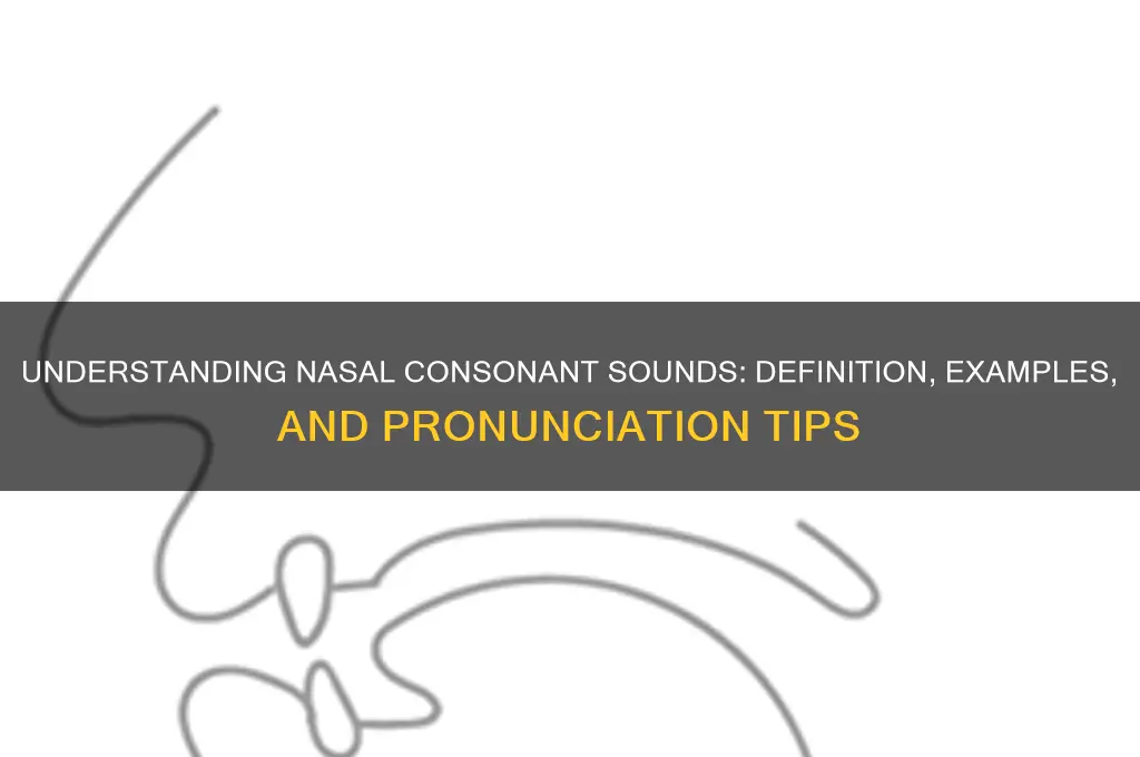 what is nasal consonant sound