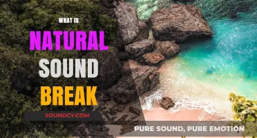 Understanding Natural Sound Breaks: Enhancing Audio Flow and Clarity