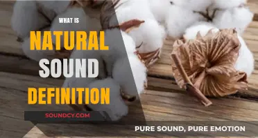 Understanding Natural Sound: Definition, Characteristics, and Real-World Applications