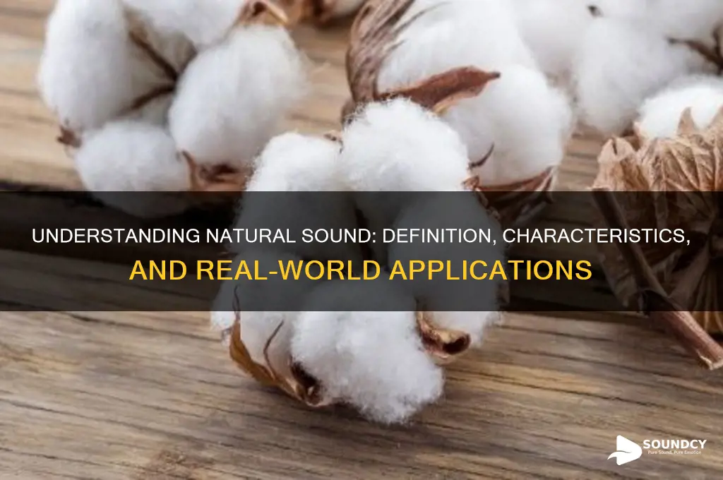 what is natural sound definition