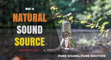 Exploring the Essence of Natural Sound Sources in Our Environment
