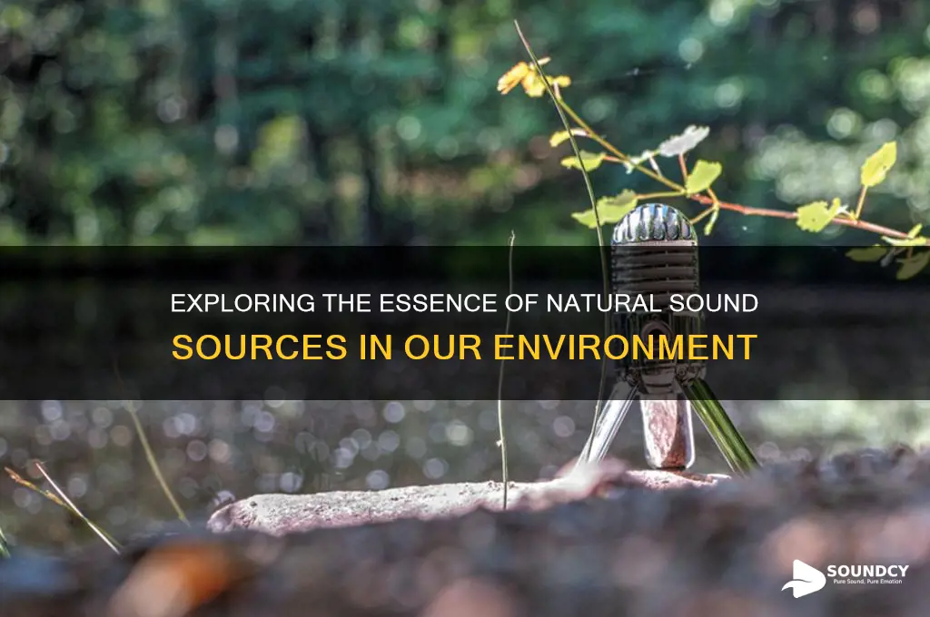what is natural sound source