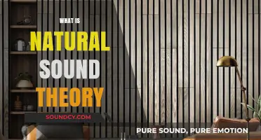 Exploring Natural Sound Theory: Origins, Principles, and Real-World Applications