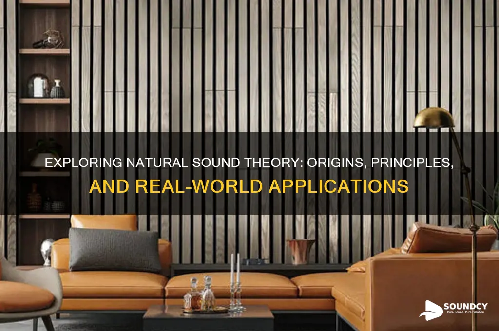 what is natural sound theory
