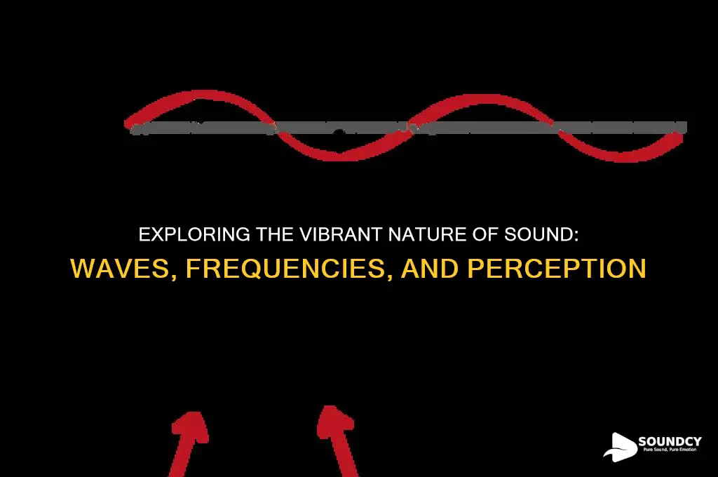 what is nature of sound